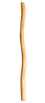 Ironbark Didgeridoo (IB261)